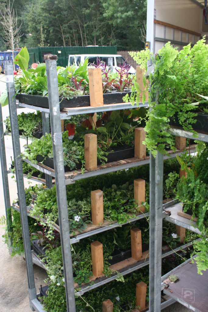 variations of plants on a metal structure