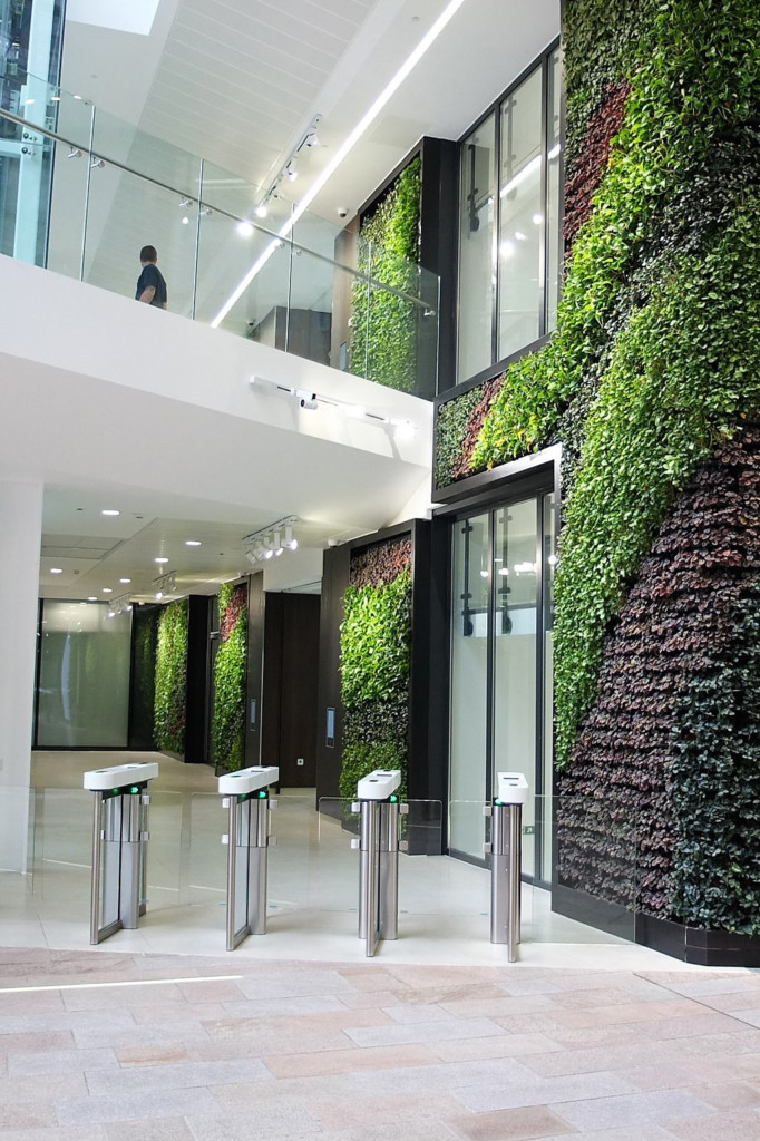 plant wall designs on tall building