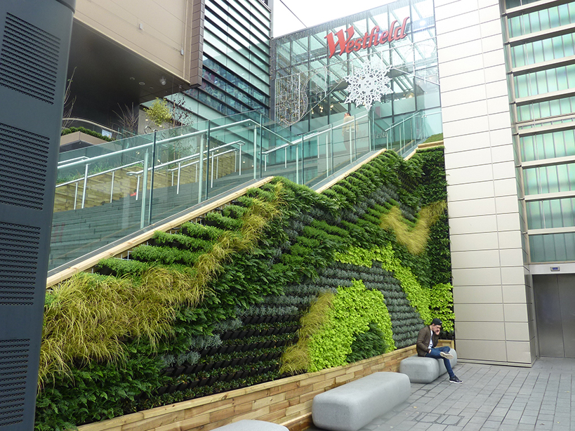 plant wall on the side of stairs