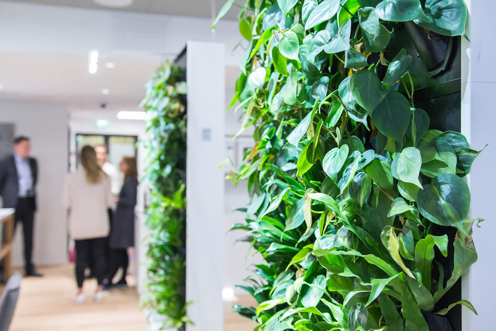 close up of a plant wall