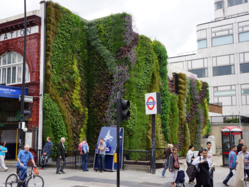 Living_wall_external_(Edgware_Road)