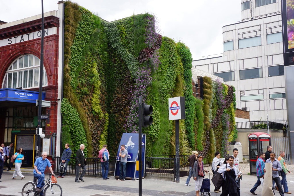 Living_wall_external_(Edgware_Road)