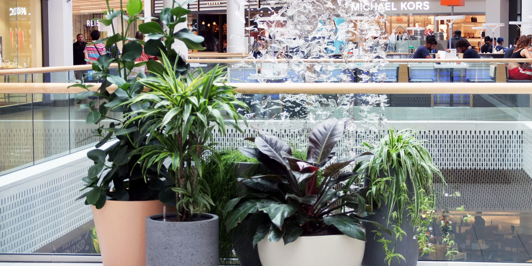 indoor plants in meadowhall shopping centre sheffield