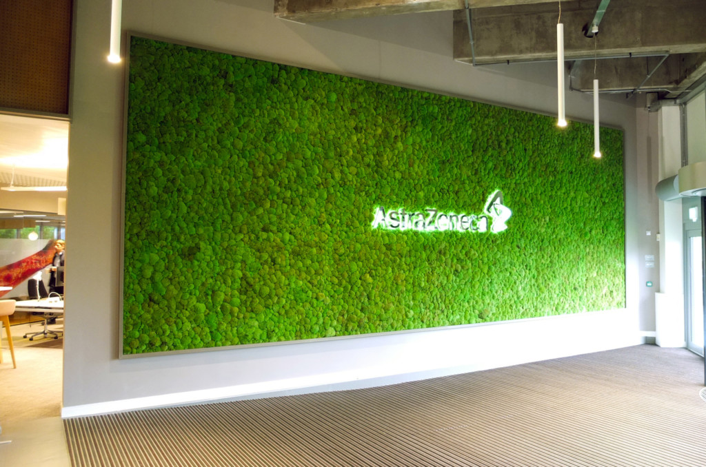 green moss wall in open room