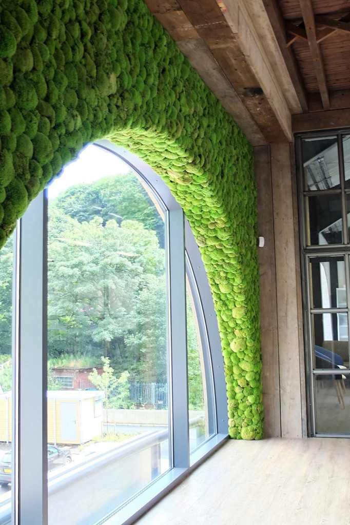 moss wall around glass