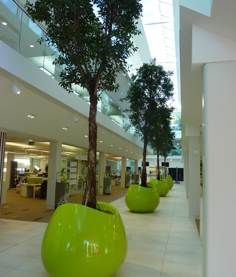 indoor_live_plant_displays