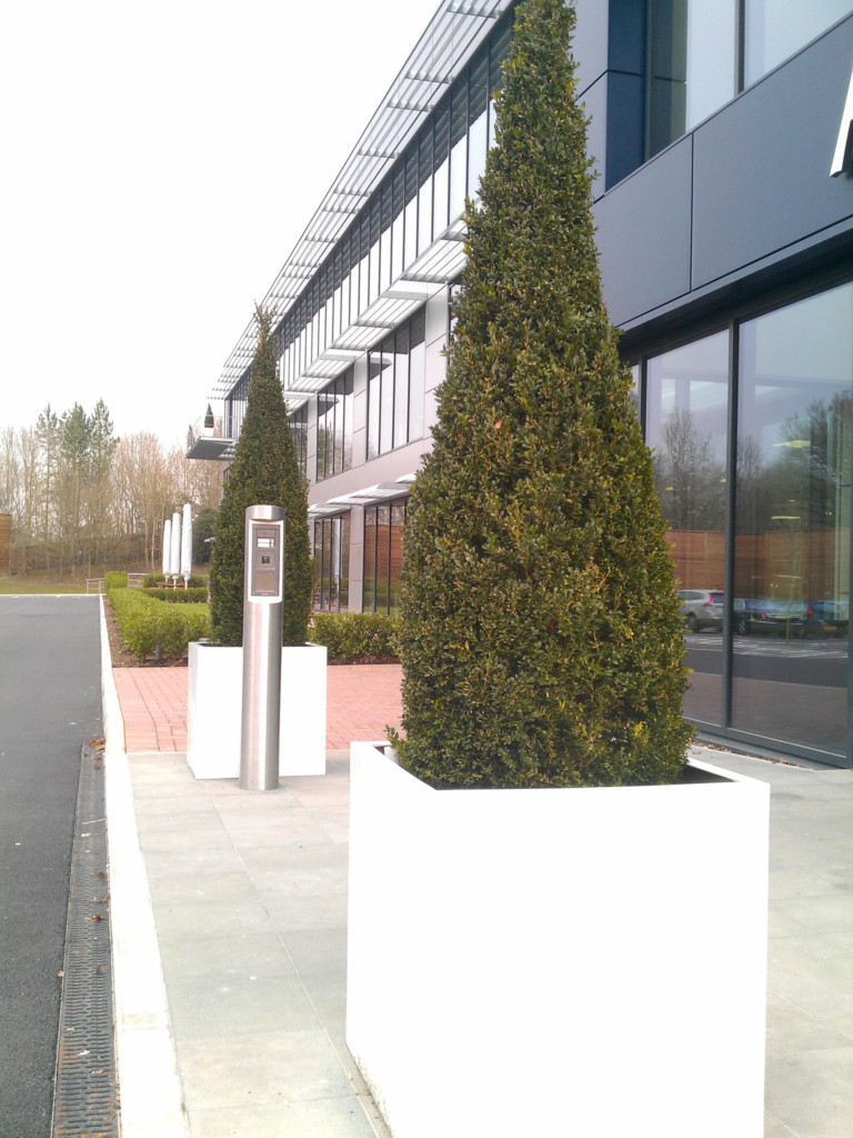 large plant outside a building