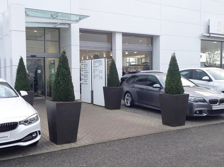 bmw cars with plants on display by the entrance