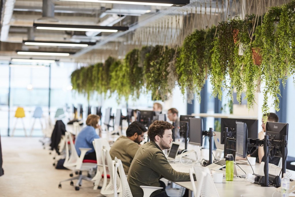 plants hanging from the ceiling in an open office area