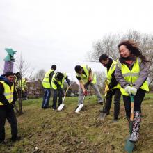 Tree_Planting