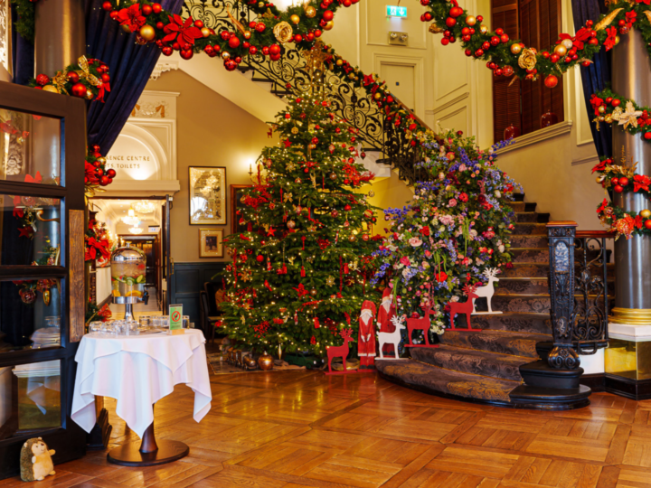A warm atmosphere created by a classic christmas tree. Decorated with red and gold balls