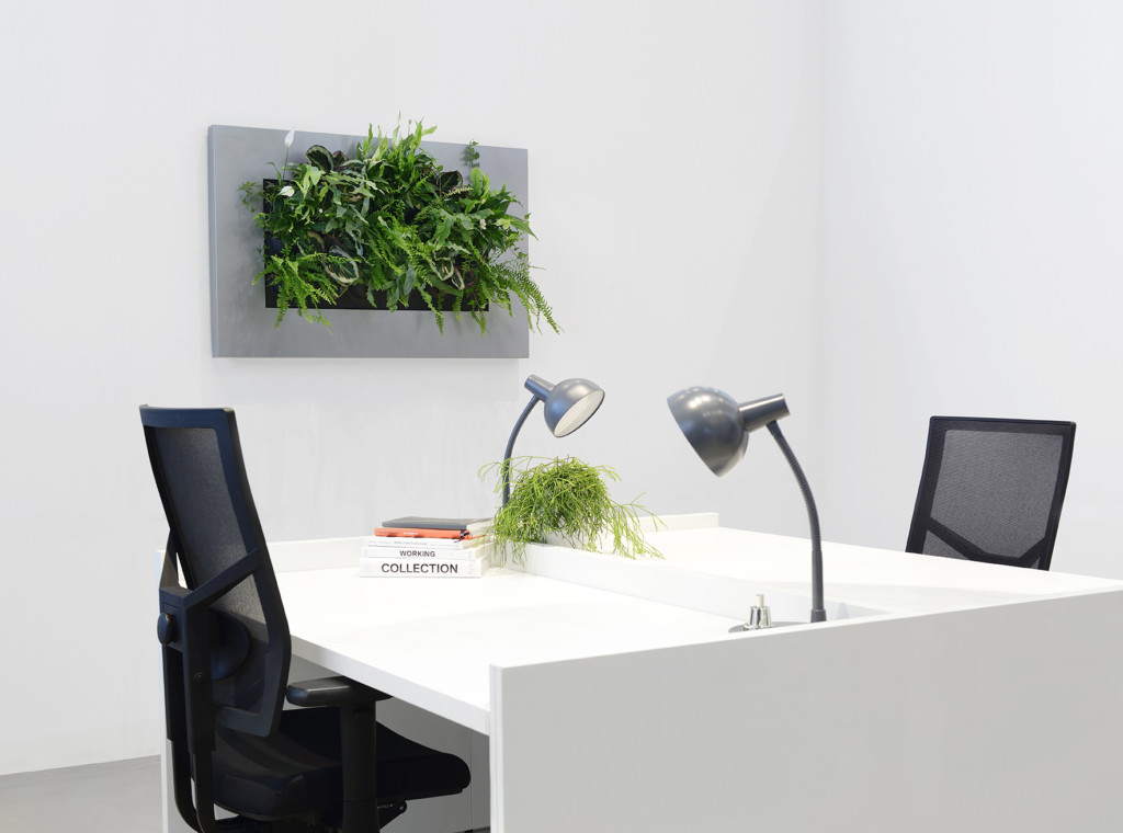 office area with small plant artwork