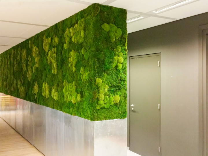 moss wall indoors