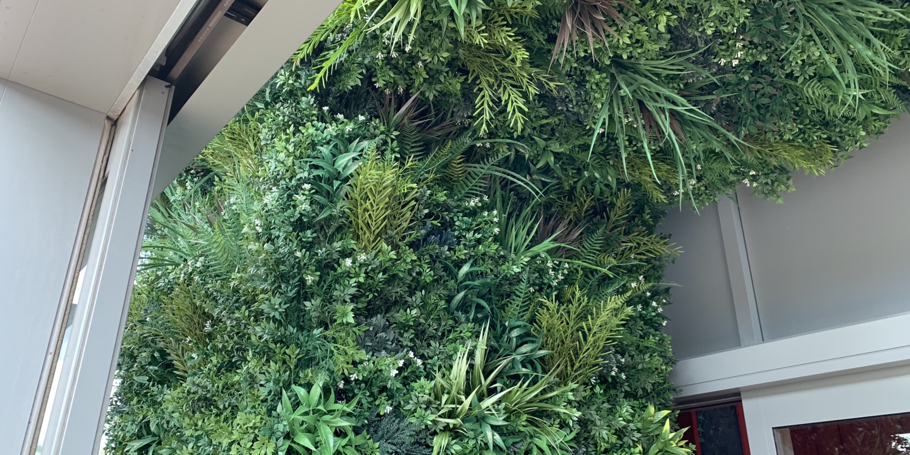 plants lining the wall