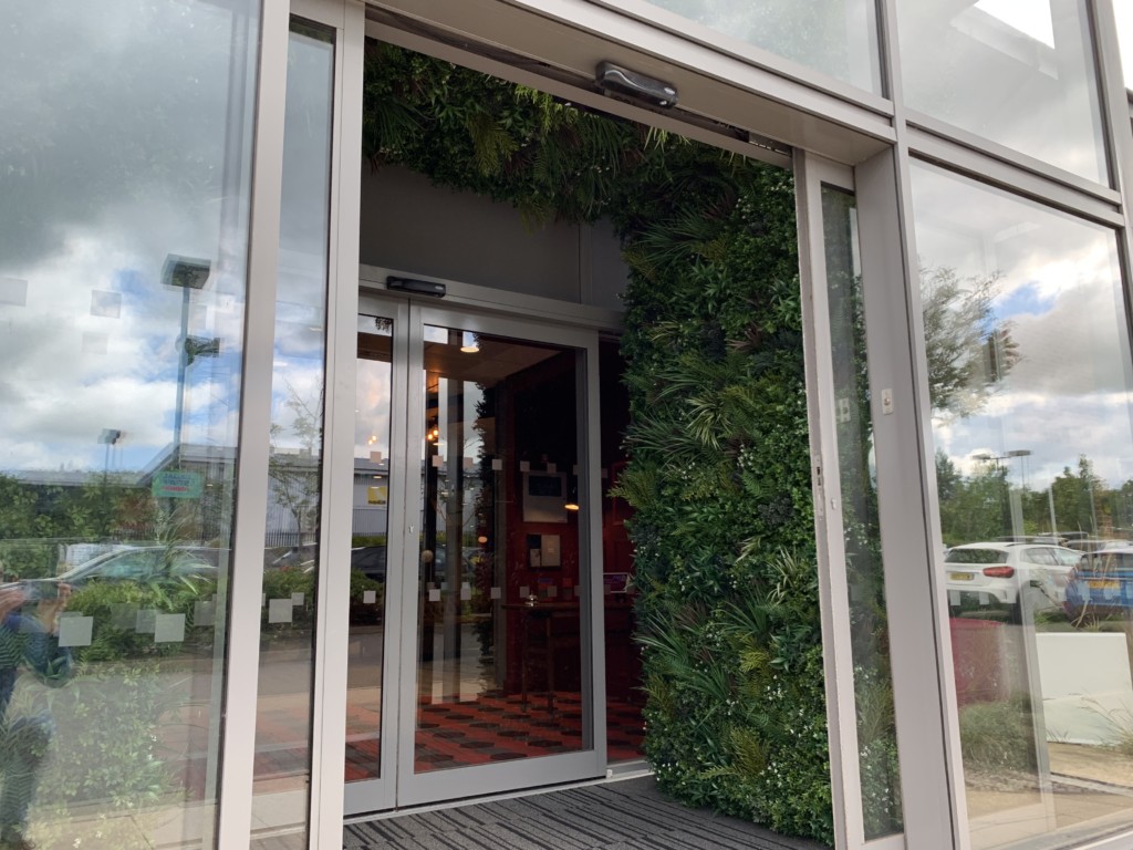 plants lining the wall of an entrance of a building 