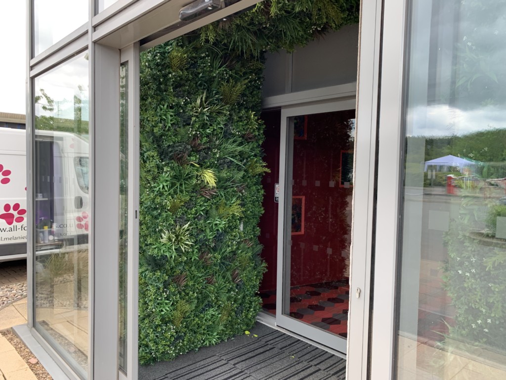 plants lining the entrance of a building 