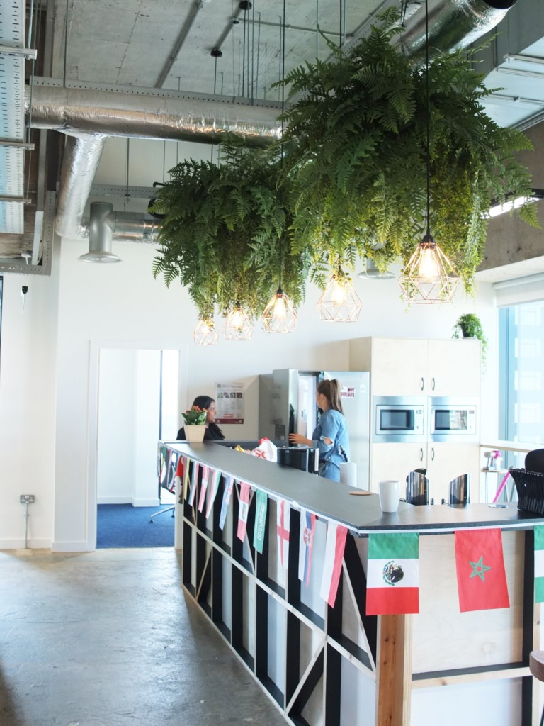 kitchen area with plants hanging from the ceiling