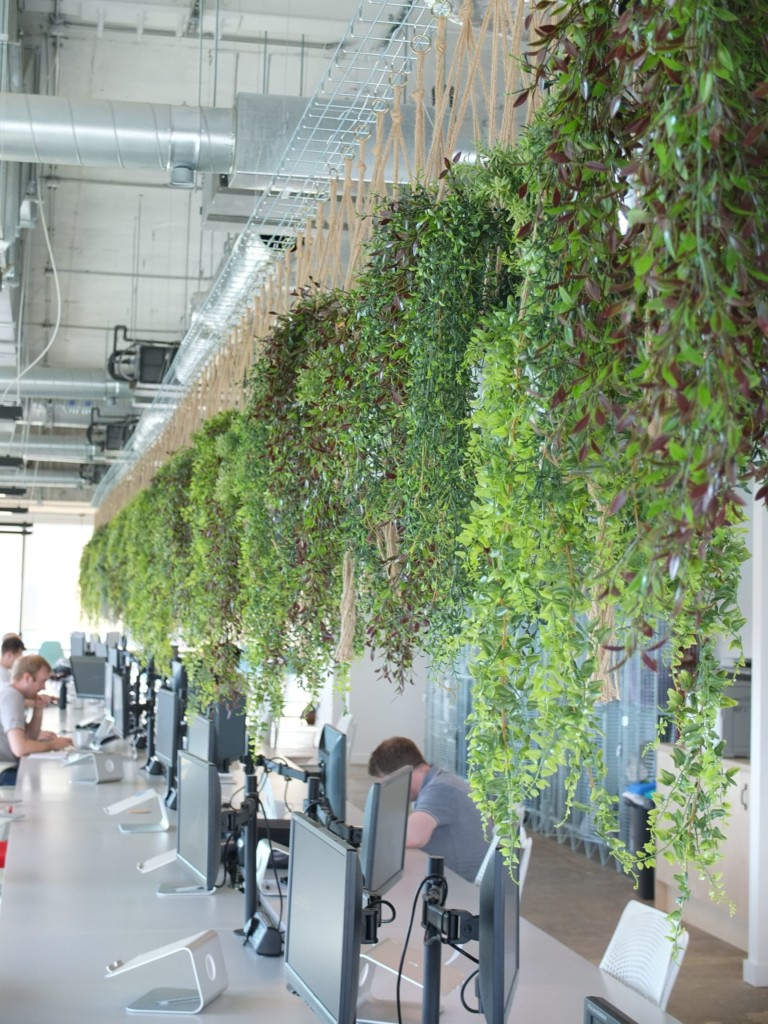 plants hanging from the ceiling in an open office area