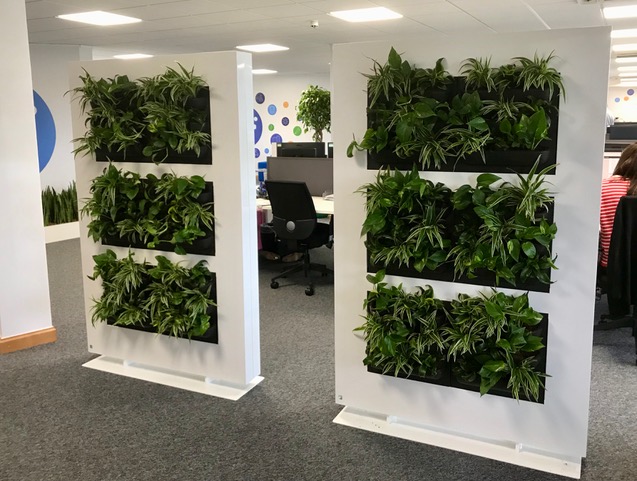 seperated plant wall in office area