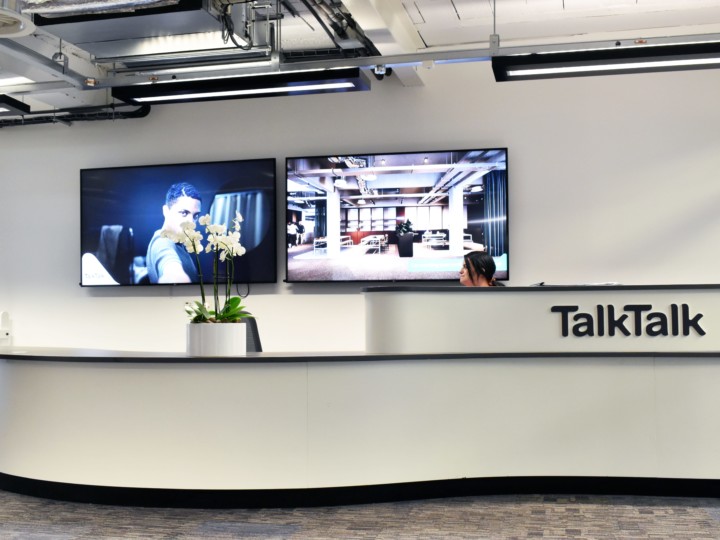 indoor plant displayed on the reception area
