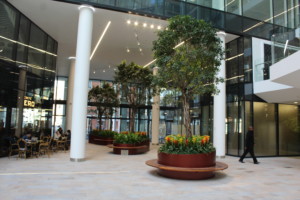 large indoor plants in a mall