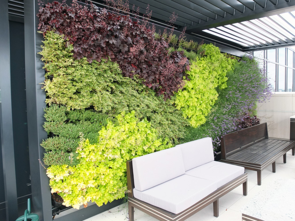 plant wall behind out door chairs