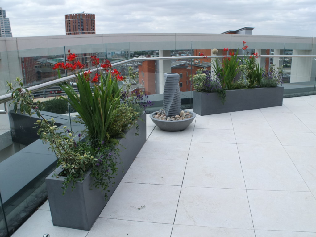 plants displayed on the roof of a building