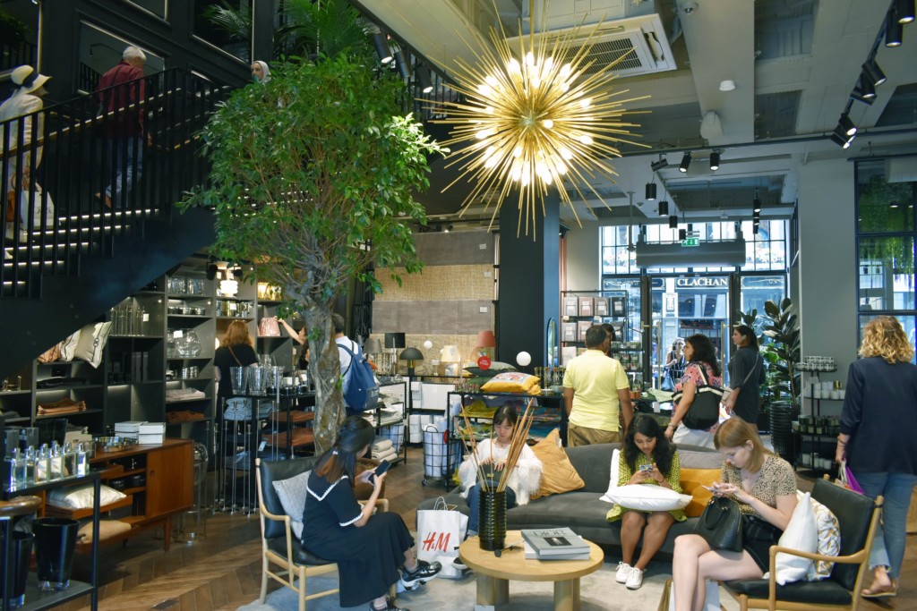 sitting area with large plant and a light feature