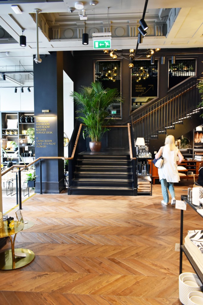 modern area with a plant on the stairs