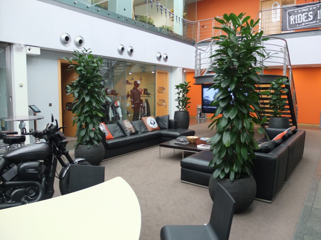 sitting area with plants displayed 