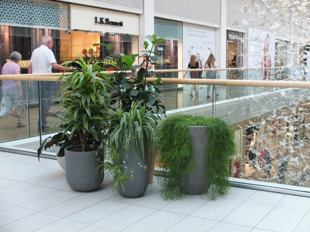 indoor plants in a shopping centre