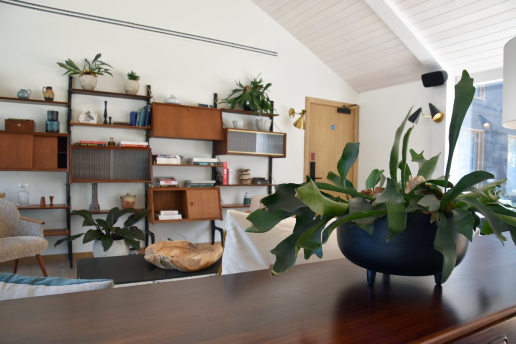 room with small indoor plants displayed on wooden structure