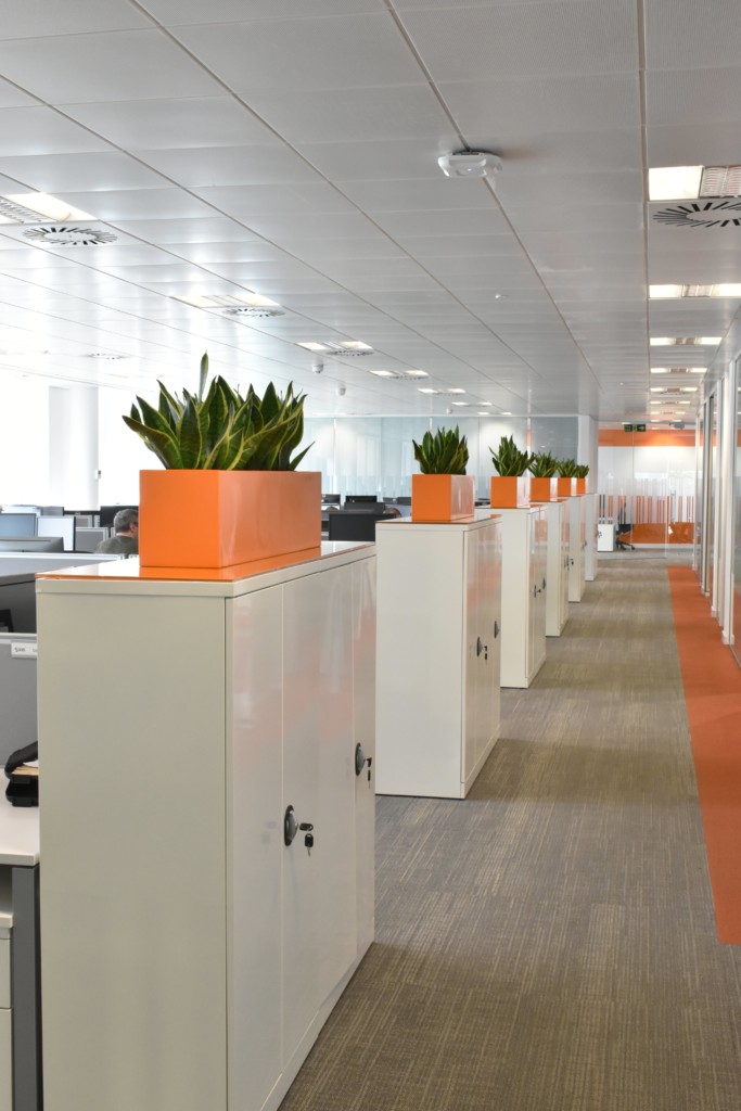 office with orange designs and indoor plants