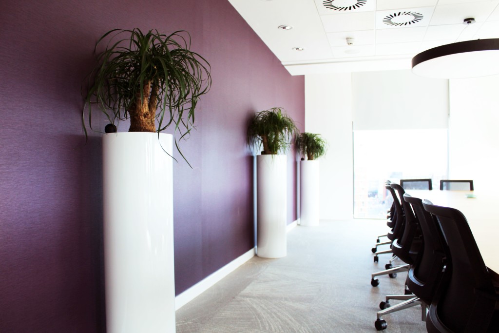 conference room with indoor plants against a purple wall