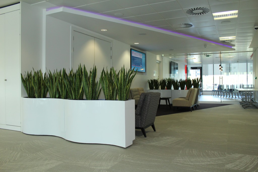 office area with plants displayed