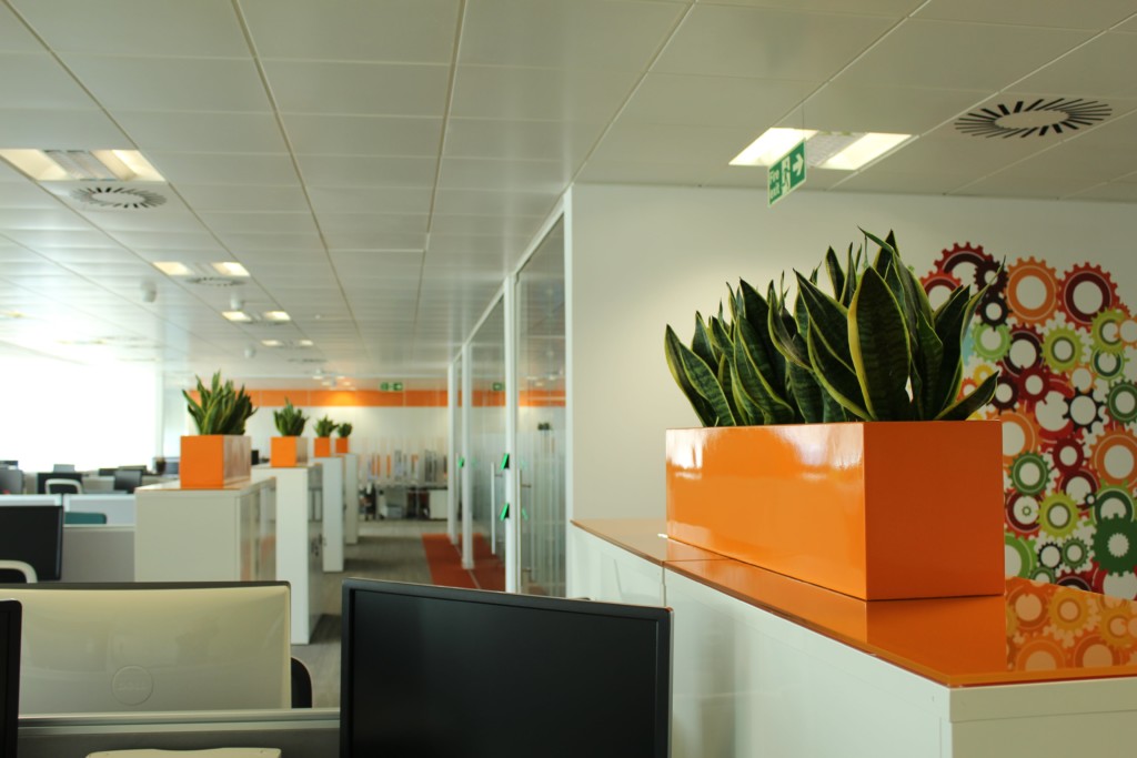 office area with orange designs and plants