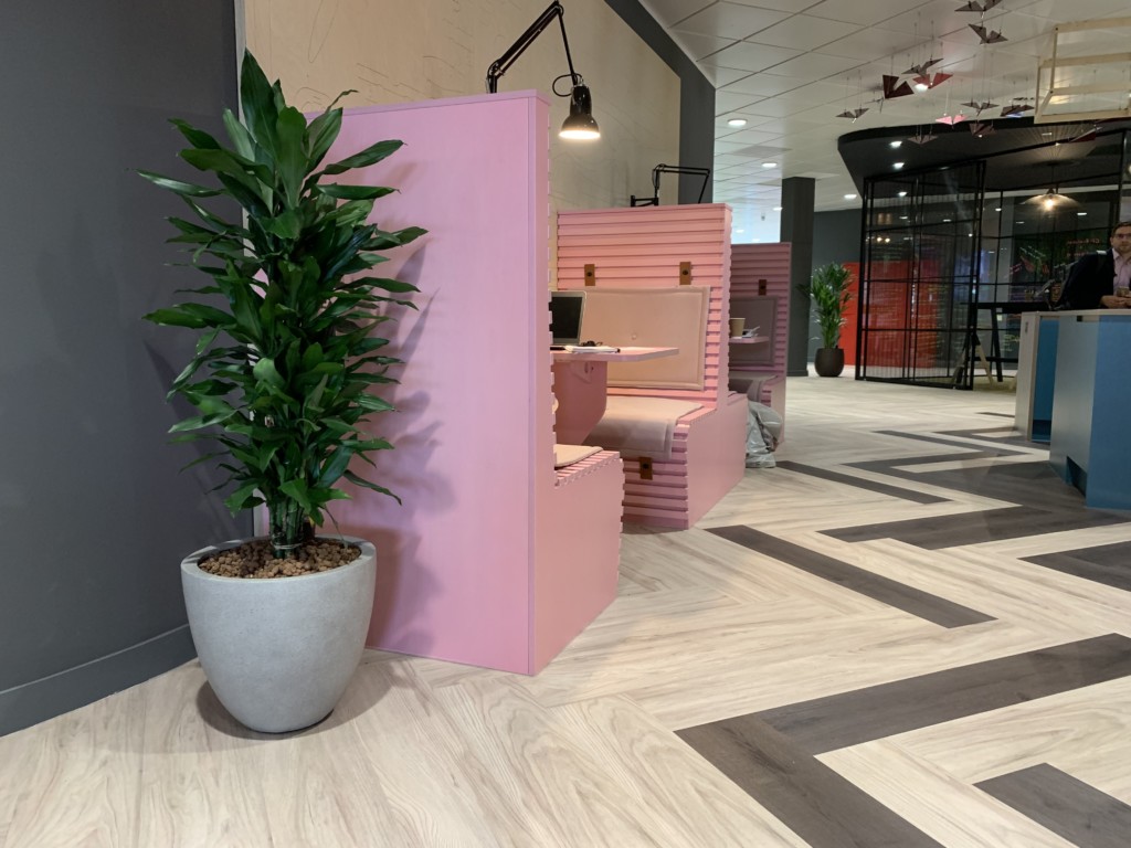 room with an indoor plant next to pink sitting area