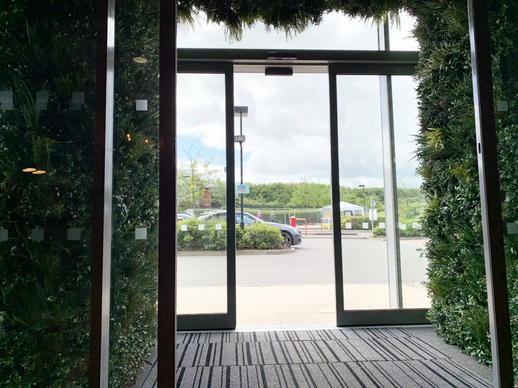 plants lining the wall of an entrance of a building 