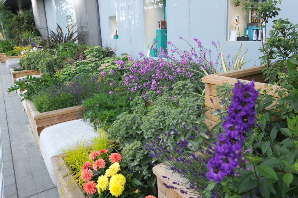 close up of landscaping by walking area