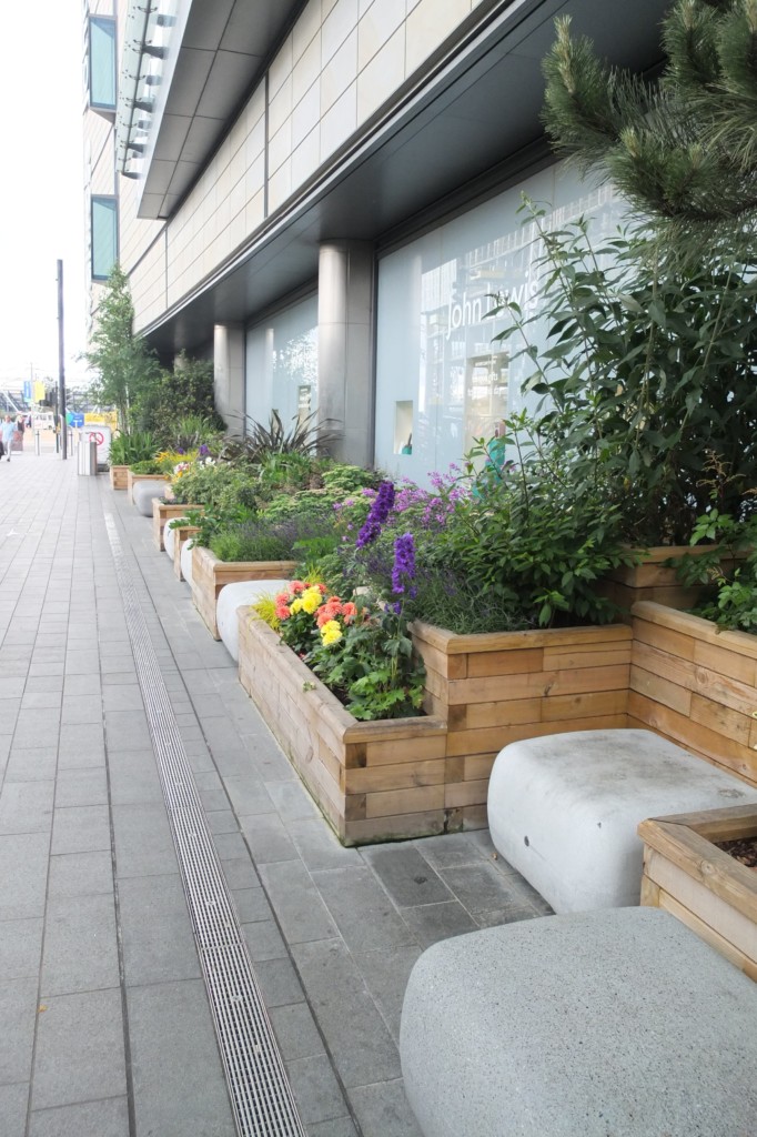 open area with plants displayed