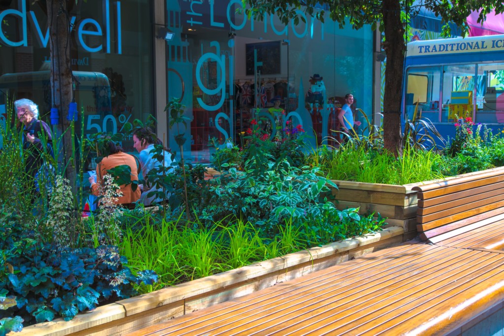 plants displayed outside a building