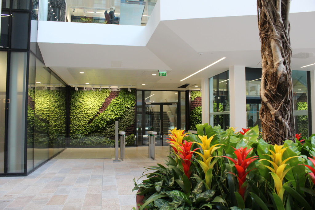 flowers and plant wall in the far back