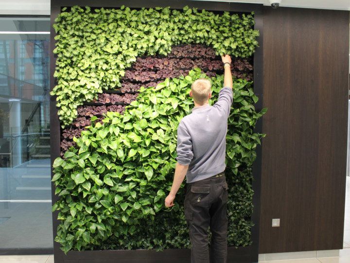 living green wall