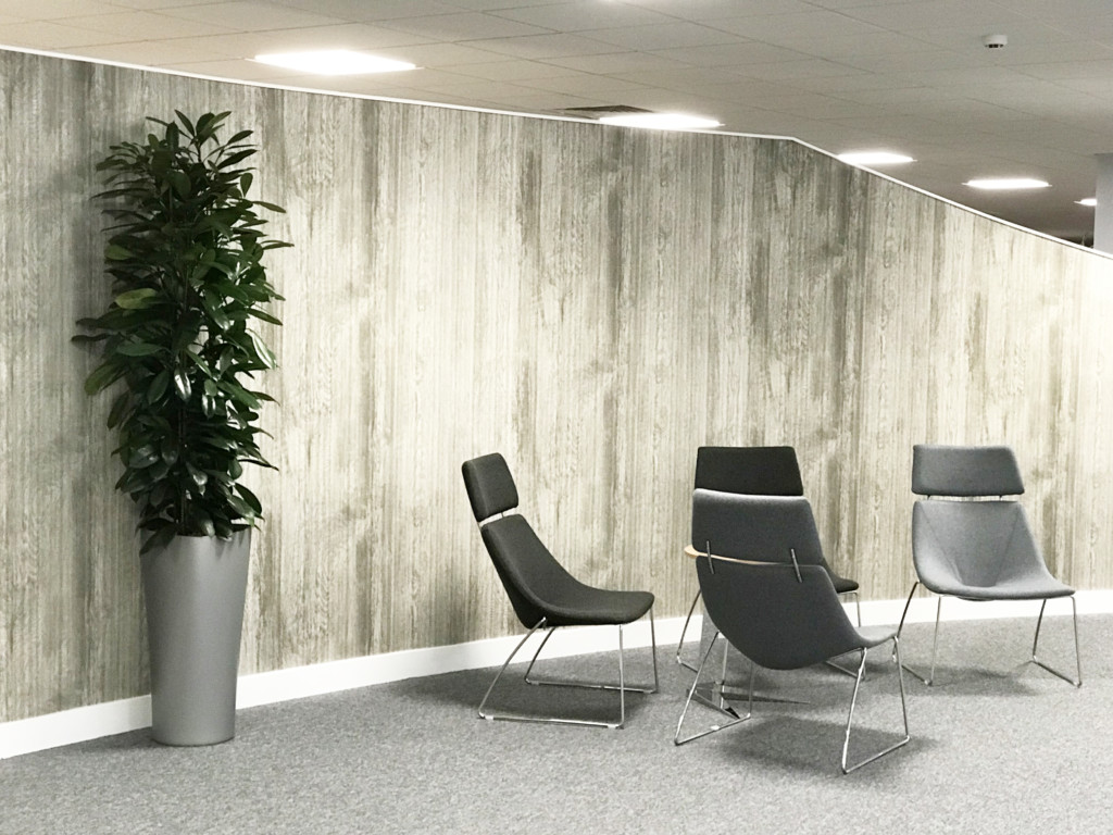 formal area with gray chairs with indoor plant against the wall 