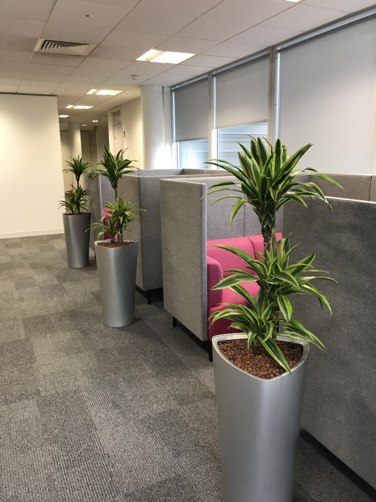 corporate formal room with plants displayed