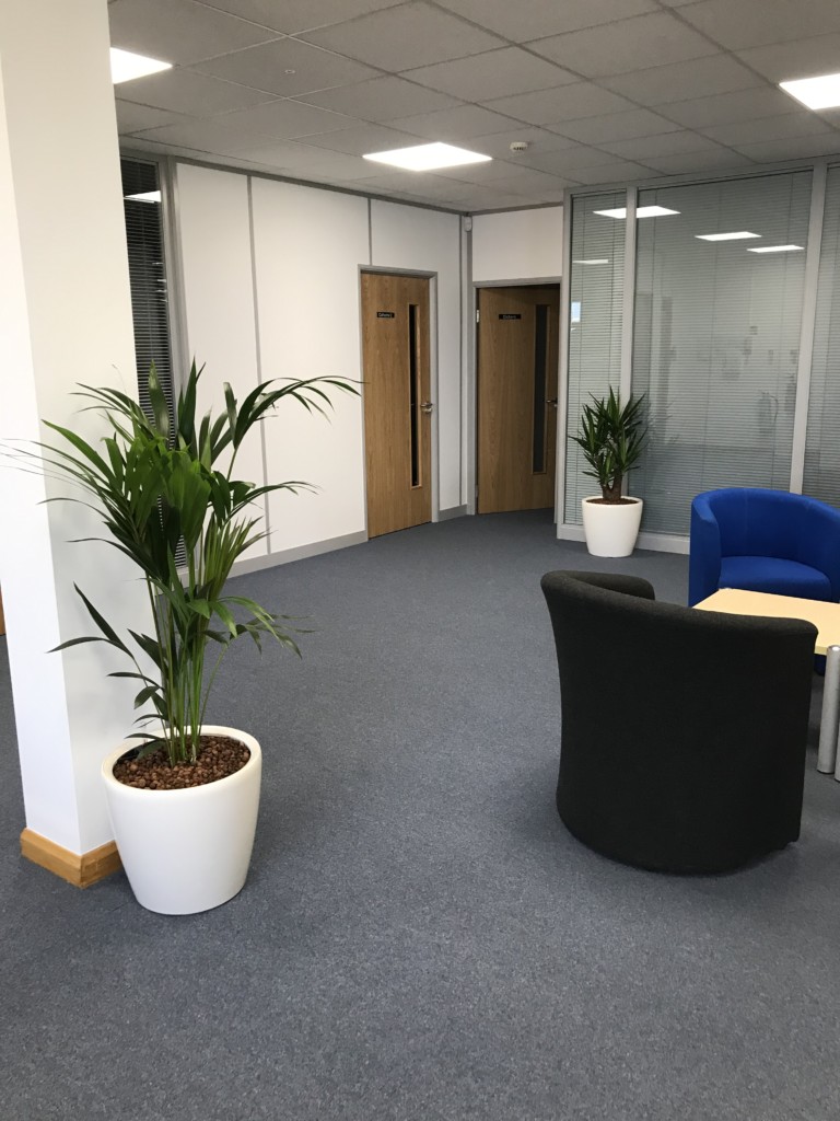 corporate formal room with plants displayed