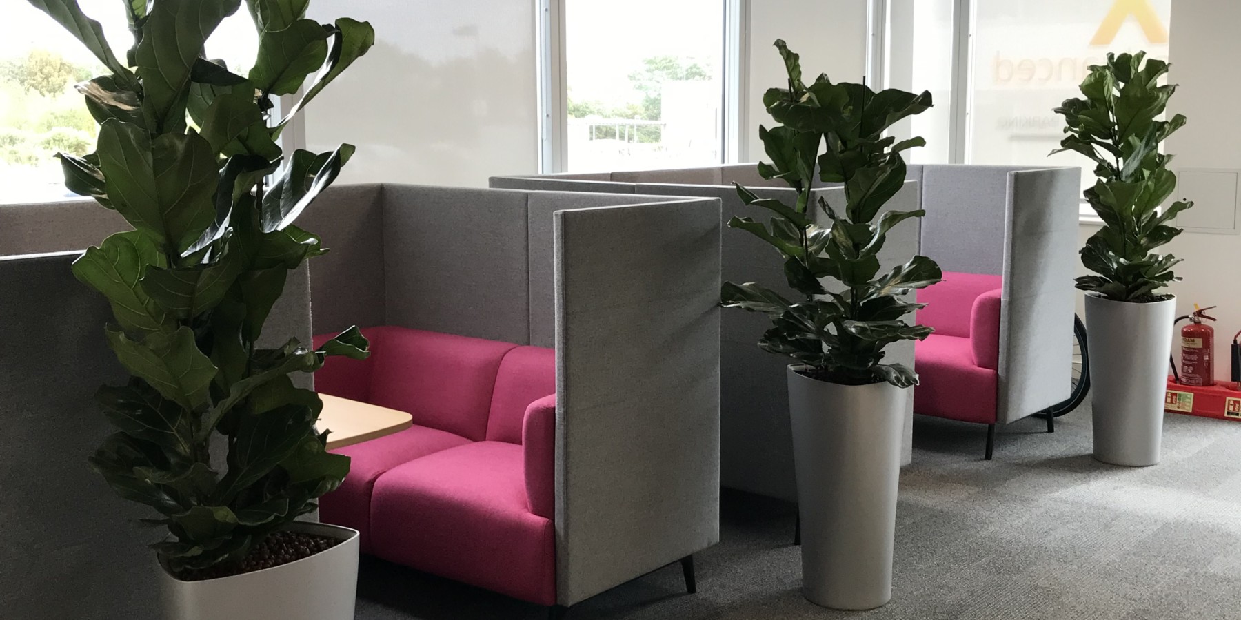 formal sitting area with indoor plants displayed