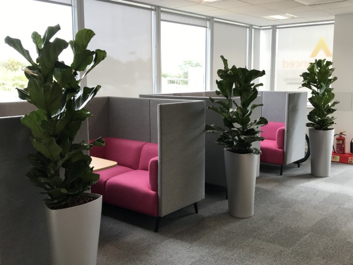 formal sitting area with indoor plants displayed