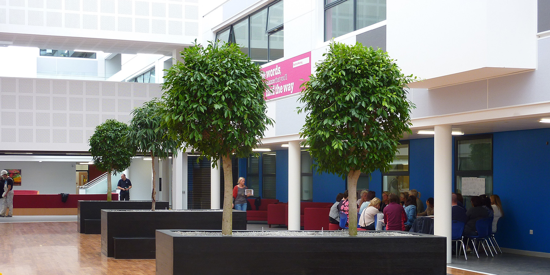 display trees in large building