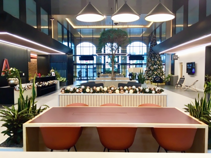 open area decorated with plants and christmas deco